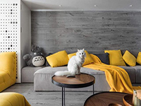 純干貨！家里有寵物的十個裝飾小建議